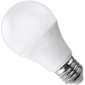 AMPOULE LED E27 A80 20W 220V BLANC FROID 6000K RADIANCE LIGHTING  - 1